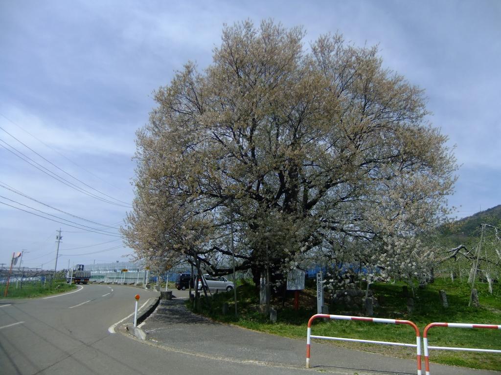 Shiga Park Hotel Яманучи Екстериор снимка